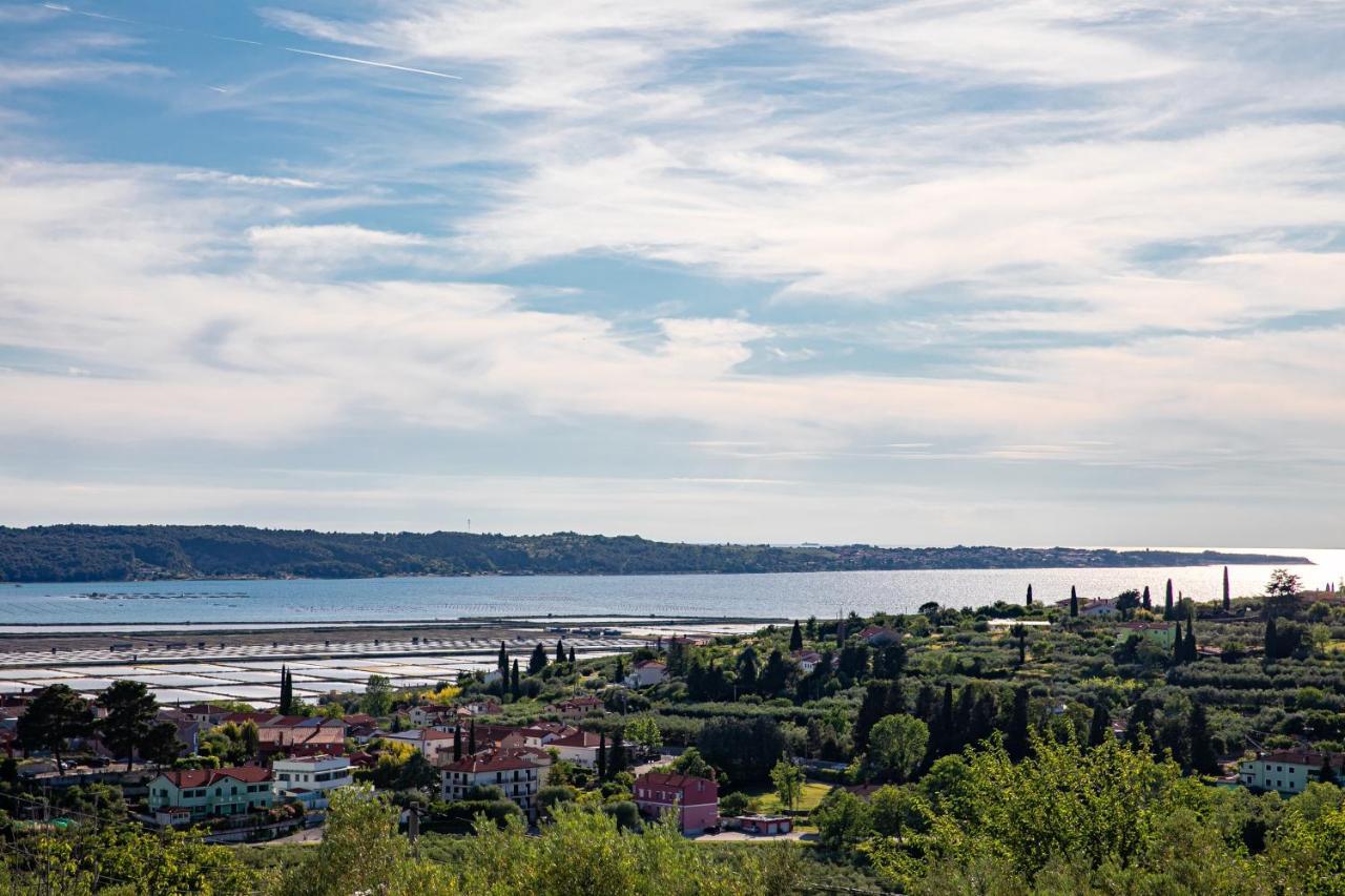 Ferienwohnung Larabella Salt Fields View Studio Portorož Exterior foto